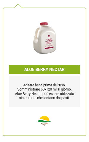 berry nectar 36 b.jpg